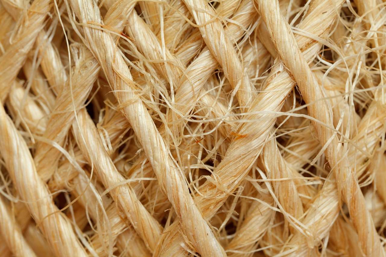 découvrez les fibres de chanvre, un matériau naturel, écologique et durable, idéal pour la fabrication de textiles, matériaux de construction et bien plus encore.