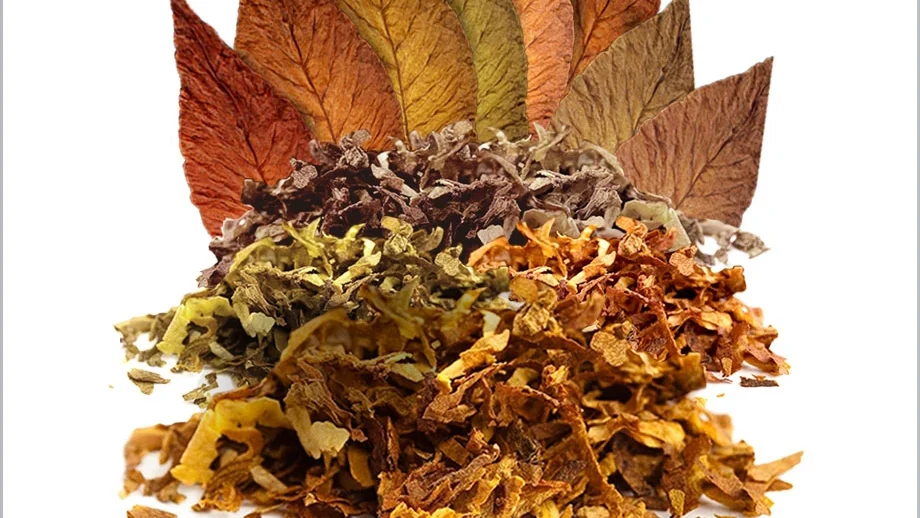 découvrez notre mélange unique de tabac et de cannabis, offrant une expérience aromatique équilibrée et riche en saveurs pour les amateurs de sensations douces et intenses.